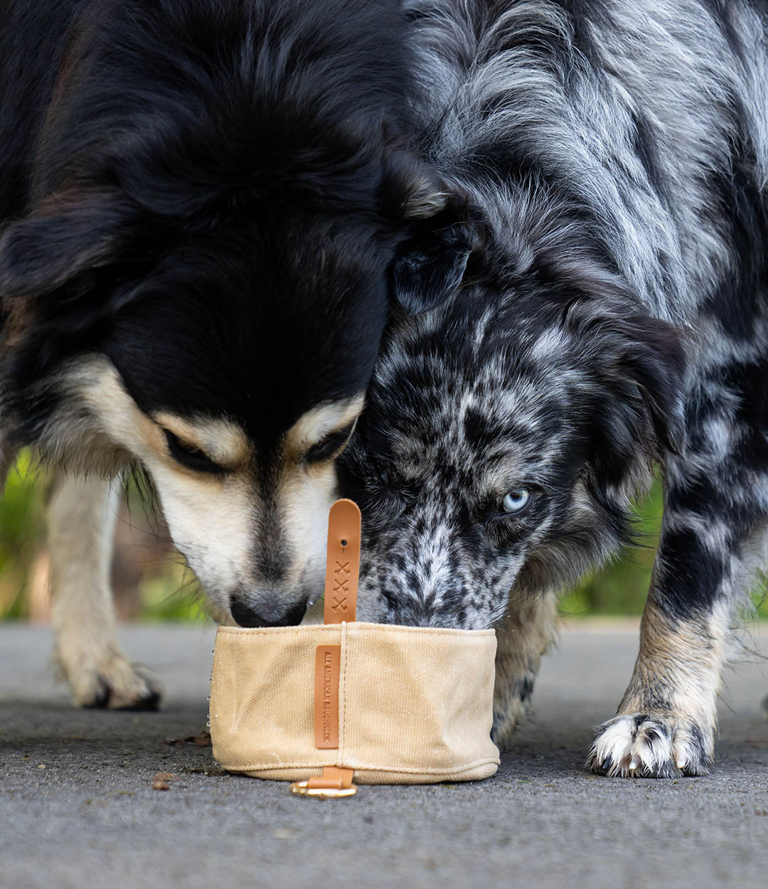 Waxed Canvas Dog Bowl