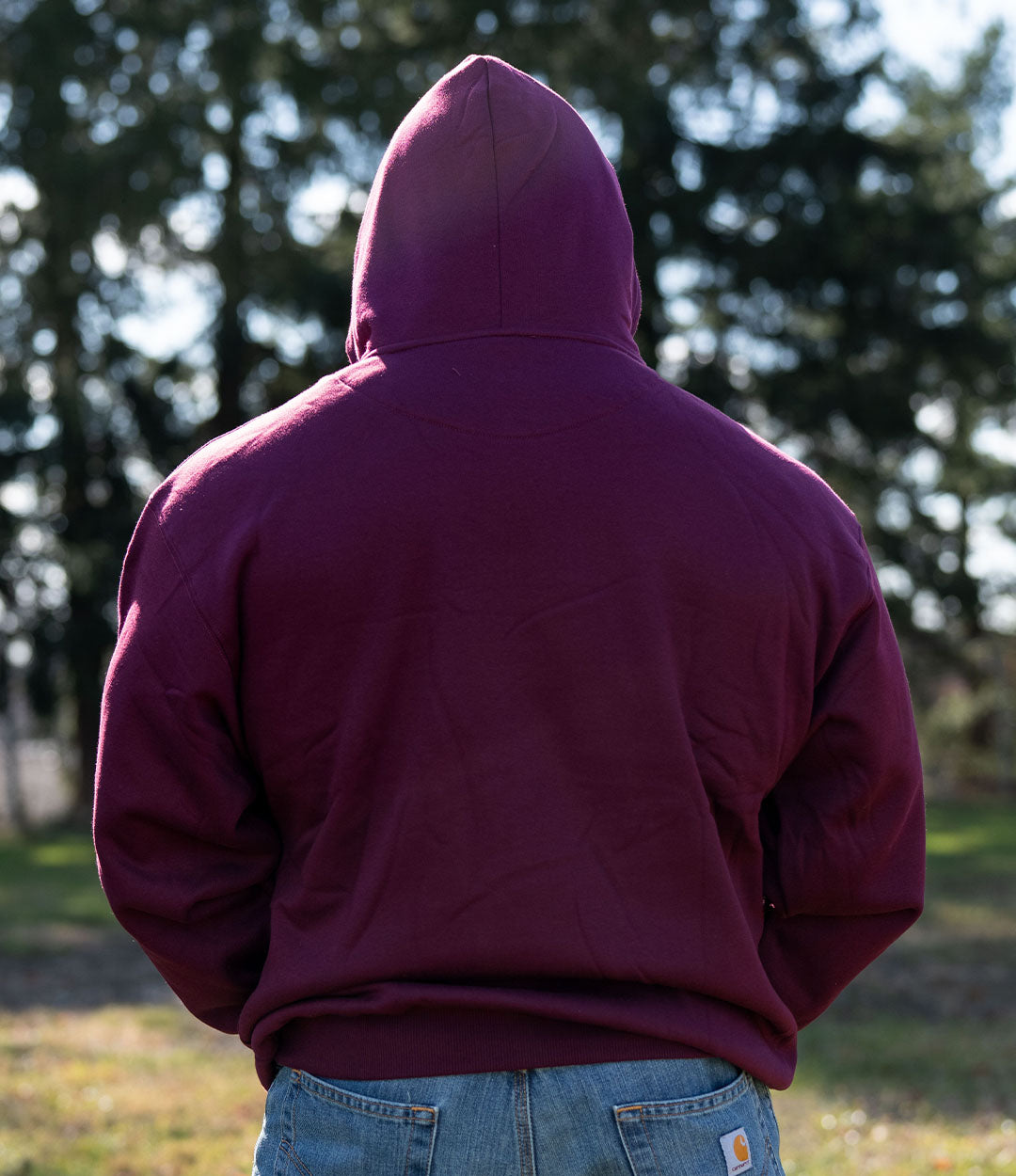 Light Plush Hoodie // Shield