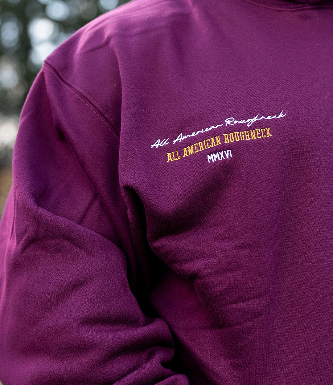 Light Plush Hoodie // Shield