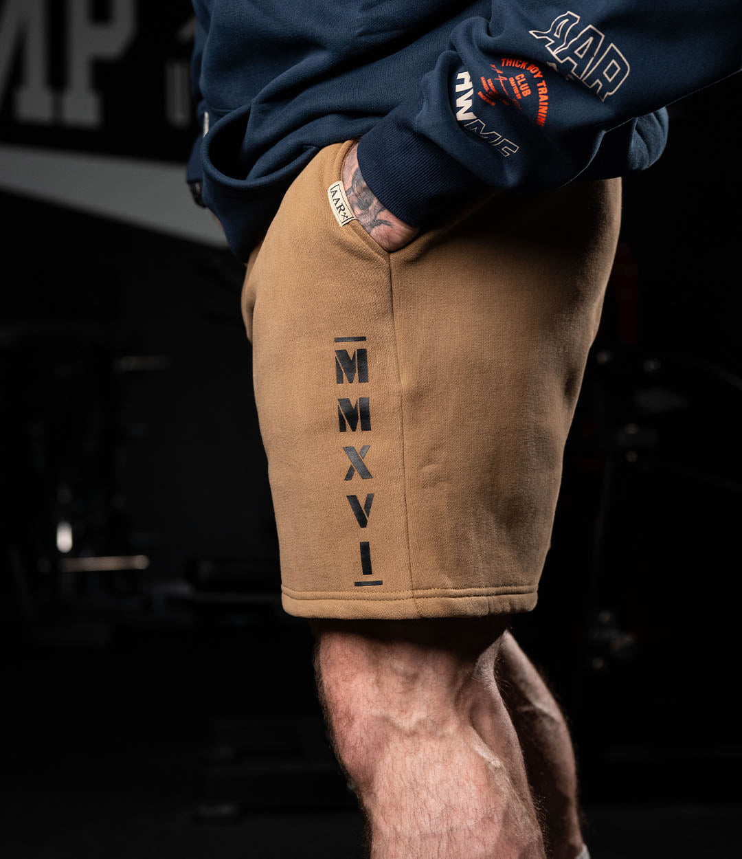 MMXVI Plush Shorts