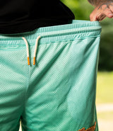 AAR Gradient - Mesh Shorts